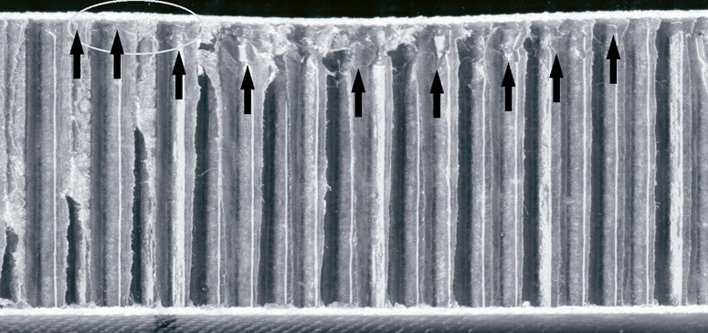 강체 충격 손상