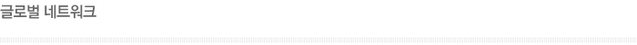 글로벌네트워크